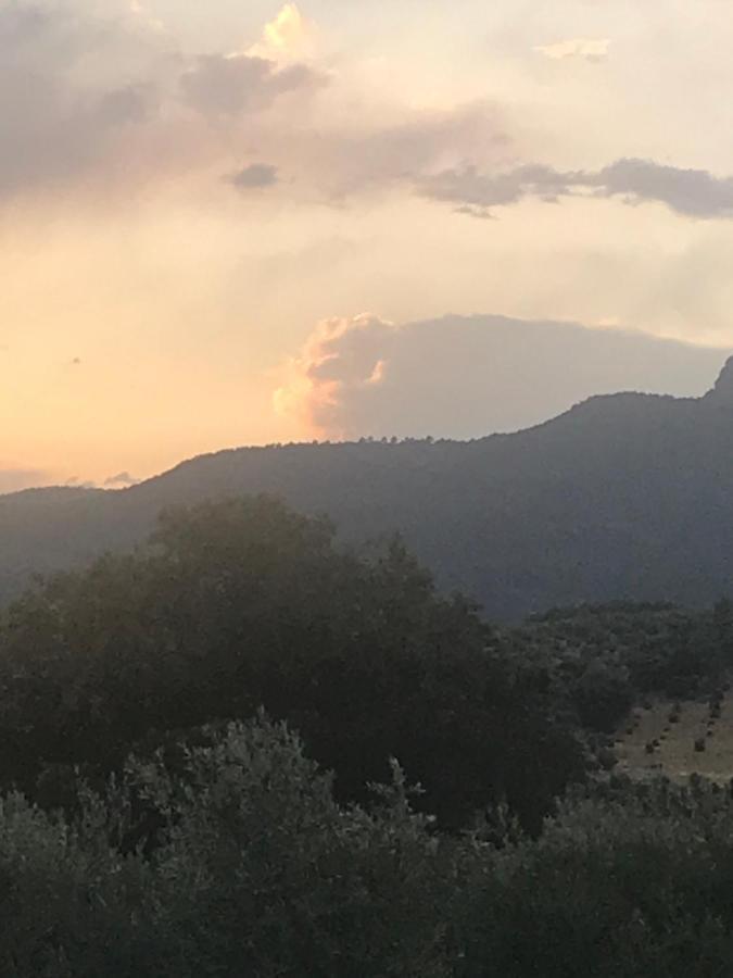Casa Rural Cortijo La Ajedrea Siles Ngoại thất bức ảnh